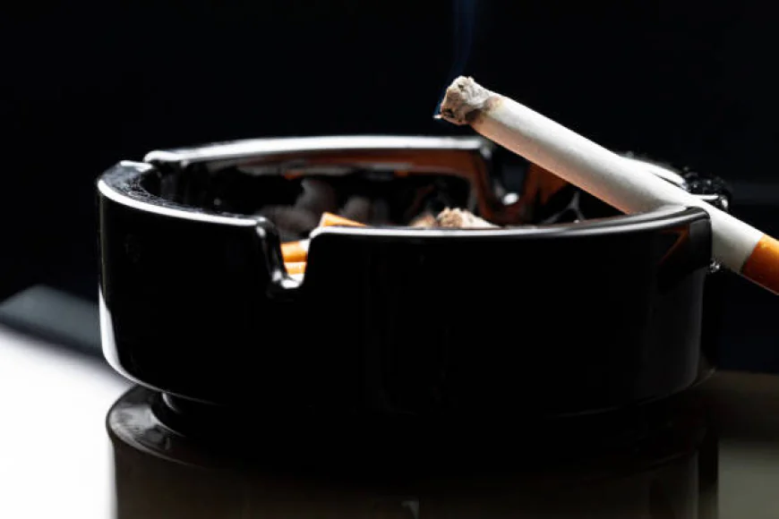 Explore Premium Cigars in New Zealand with Cigar NZ: Your Guide to the Finest Cigars