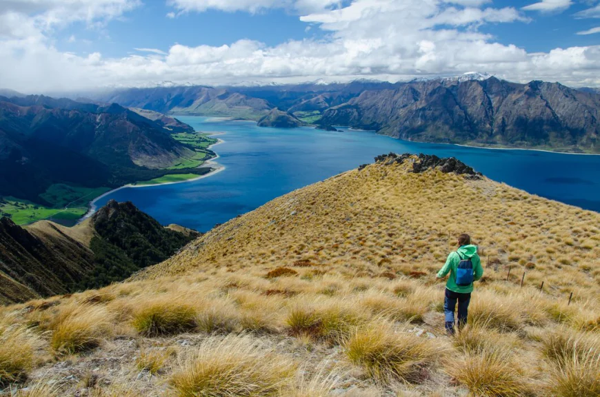 Why Should You Choose New Zealand Private Tours for Your Next Adventure?