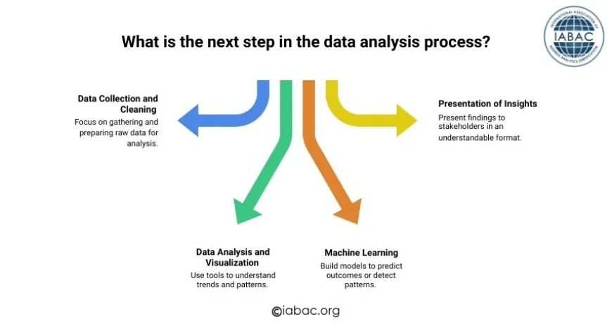 What is the next step in the data analysis process