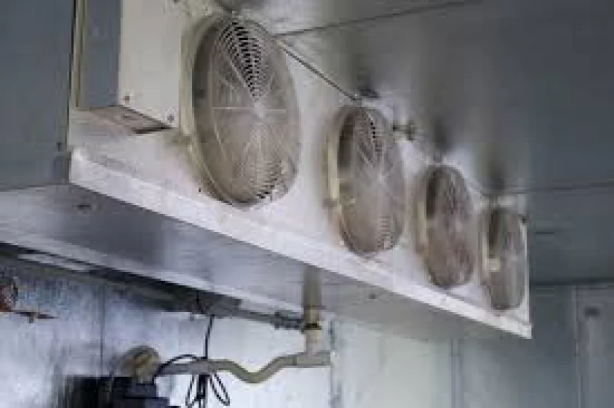 Expert Service for Walk-In Freezers and Coolers