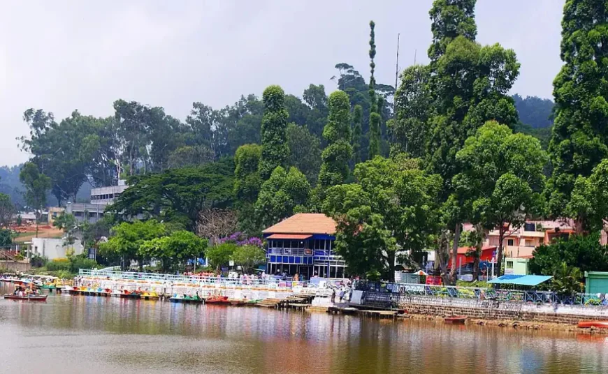 Yercaud Tour Packages – A Quiet Hill Escape Above the Plains