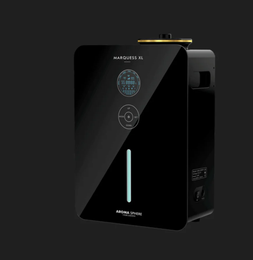 Does A Scented Oil Diffuser Create Stronger Customer Loyalty Than Traditional Visual Branding Today?