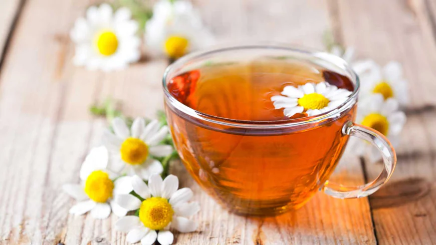 Is Chamomile Tea Good for Kidneys