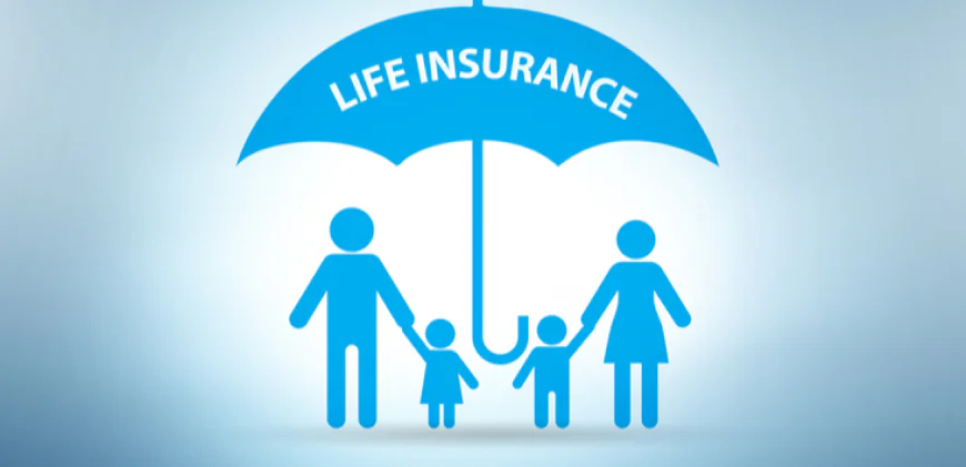 Life Insurance in Minnesota: Securing Your Family's Future in the North Star State