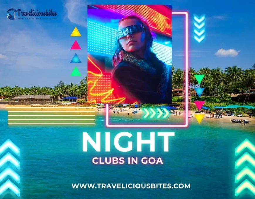 Best Nightclub in Goa
