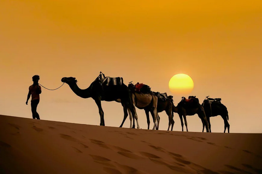 How to Choose the Best Morocco Tour with a Private Guide