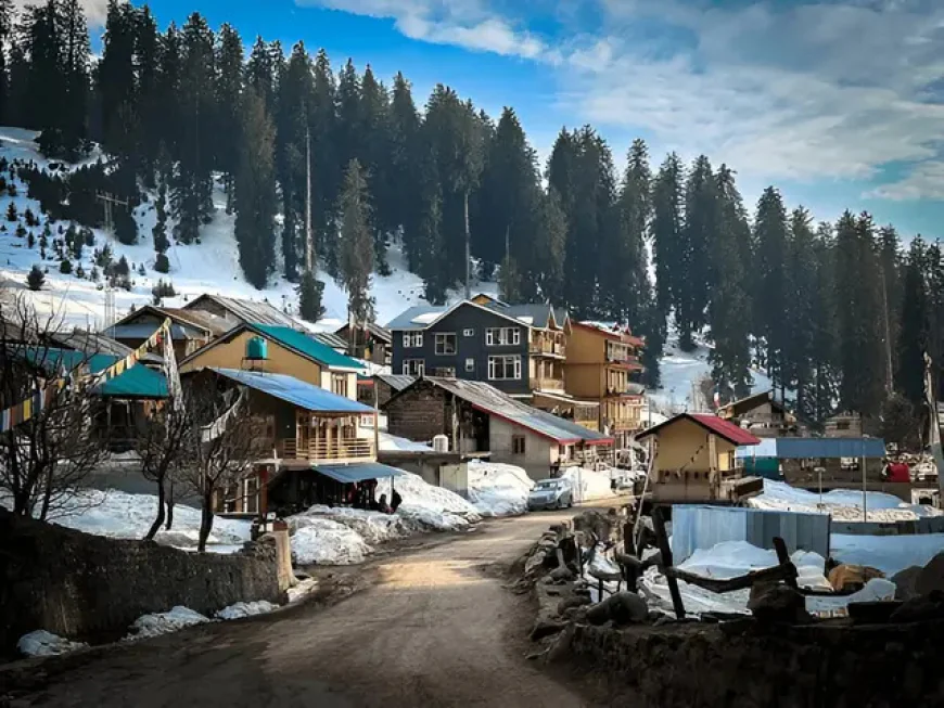 Best Himachal Pradesh Tour Packages for Summer Vacations