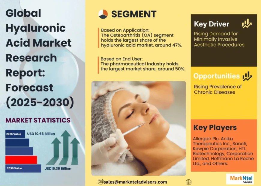 Hyaluronic Acid Industry Insights & Future Growth by 2030