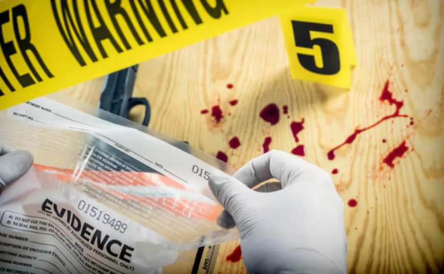 Steps to Prove You Are Not Guilty in a Violent Crime Case