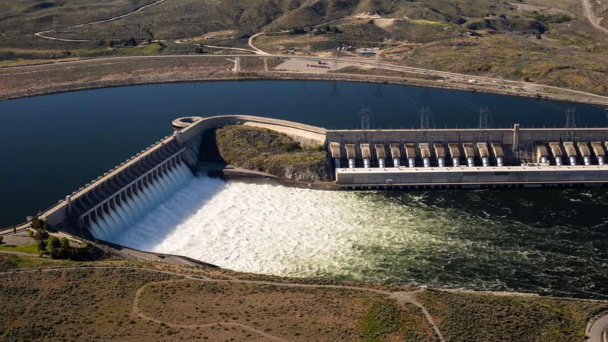 What Is The Smartest Upstream Fish Passage Portal Available Today?