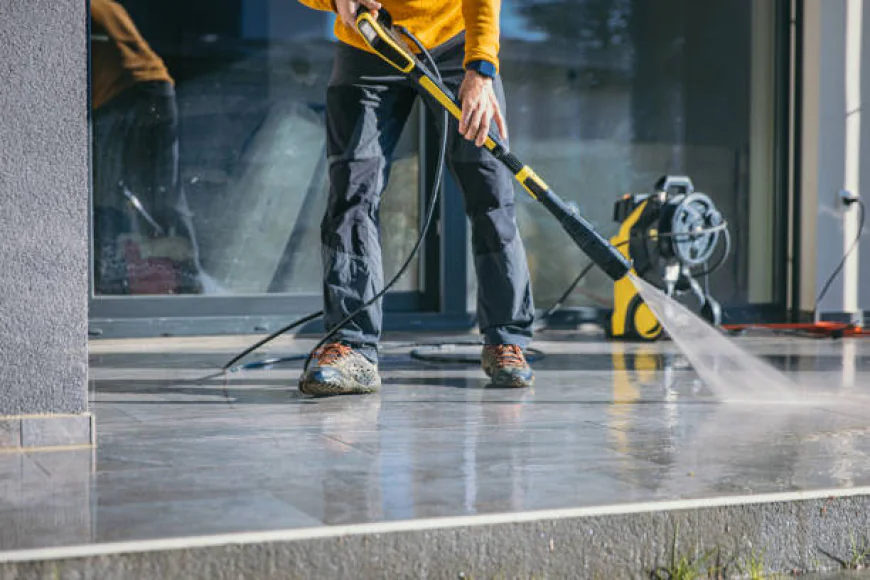 Expert Tips for Maintaining Your Home After Exterior Moss Treatment Services in Edmonds, WA