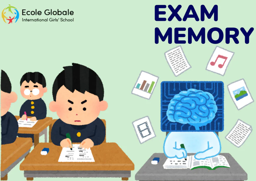 How to Improve Your Memory for Exams