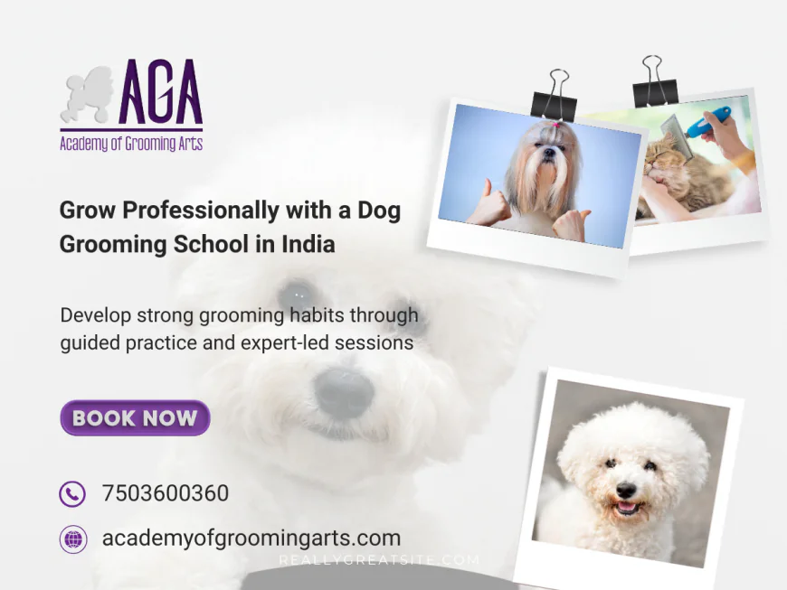 How Grooming Training Helps Dog Trainers Manage Behaviour Better