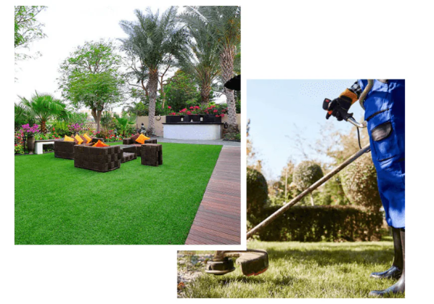 Commercial Lawn Care Services in Dubai – Expert Solutions for Business Landscapes