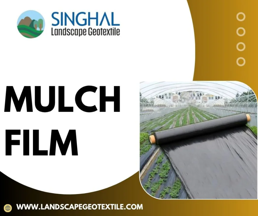 Navigating​‍​‌‍​‍‌​‍​‌‍​‍‌ the Global Market: A Comprehensive Guide to Choosing the Ideal Mulch Film Manufacturer