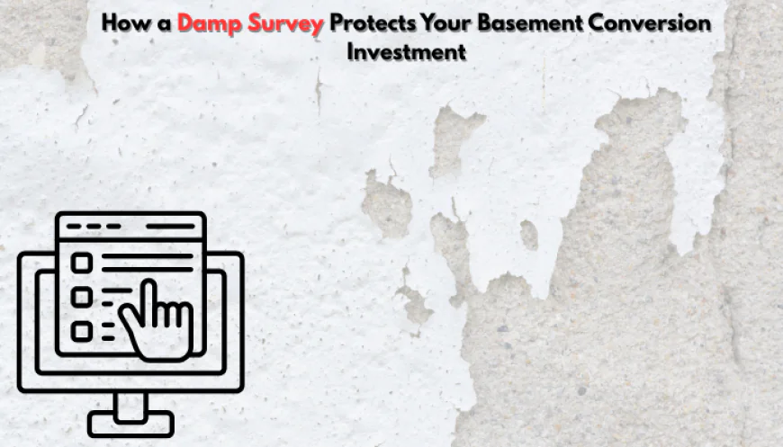 How a Damp Survey Protects Your Basement Conversion Investment
