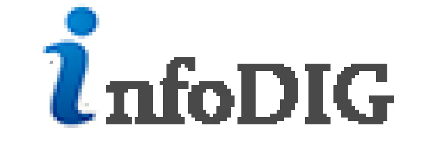 Why Does infodig Matter for Smarter Domain Choices Online?