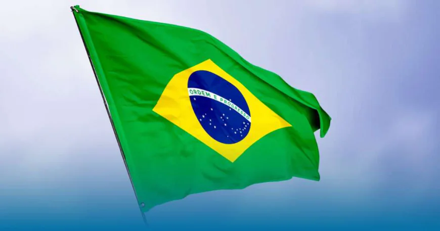 Navigating Success: A Guide to Pharmaceutical Registration and Regulatory Service in Brazil