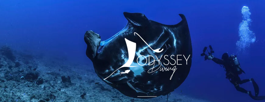 Croisière Plongée en Nouvelle-Calédonie : Une Aventure Sous-Marine Inoubliable