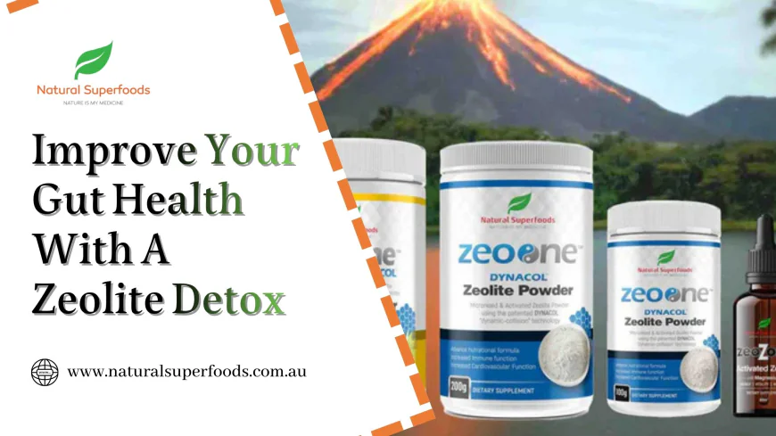 Improve Your Gut Health With A Zeolite Detox