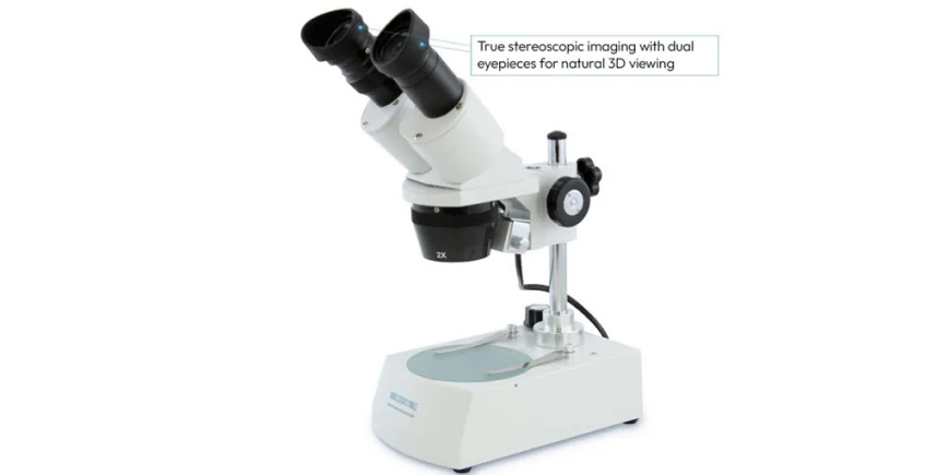The Dissecting Microscope: A Window to a Whole New World for Your Children