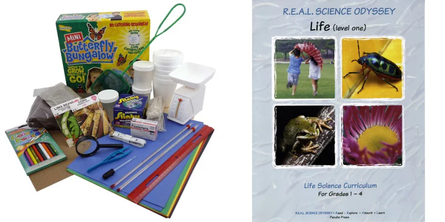 5 Great Reasons Why You Should Expose Your Child to Science Projects for Kids