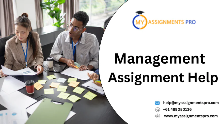 What Are the Best Resources for Management Assignment Help?