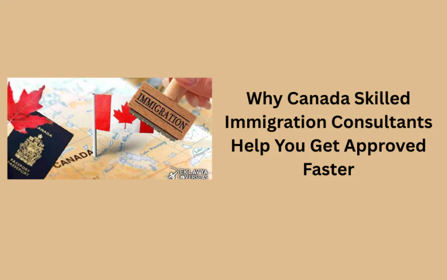 Thinking of Moving to Canada? A Canada Visa Consultant Can Help