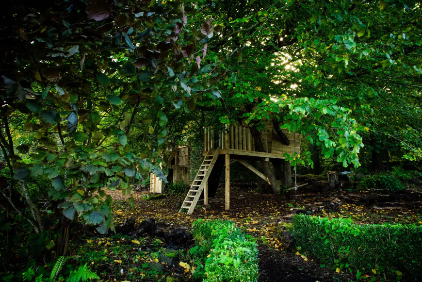 How Professional Garden Maintenance Keeps UK Outdoor Spaces Thriving