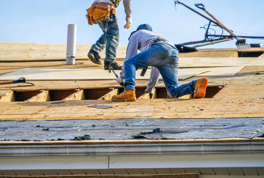 Roof Replacement: Everything Homeowners Need to Know