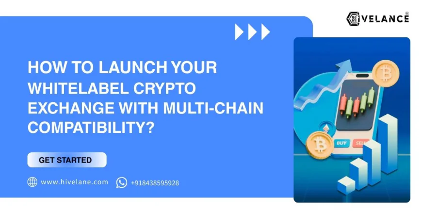 How to Launch Your Whitelabel Crypto Exchange With Multi-Chain Compatibility