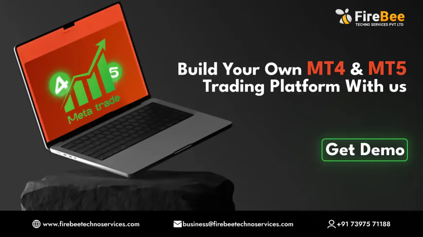 Everything You Need to Know Before Choosing the Right MT5 Development Company