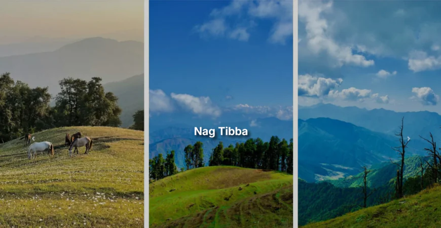 Nag Tibba Trek – A Perfect Himalayan Getaway for Beginners