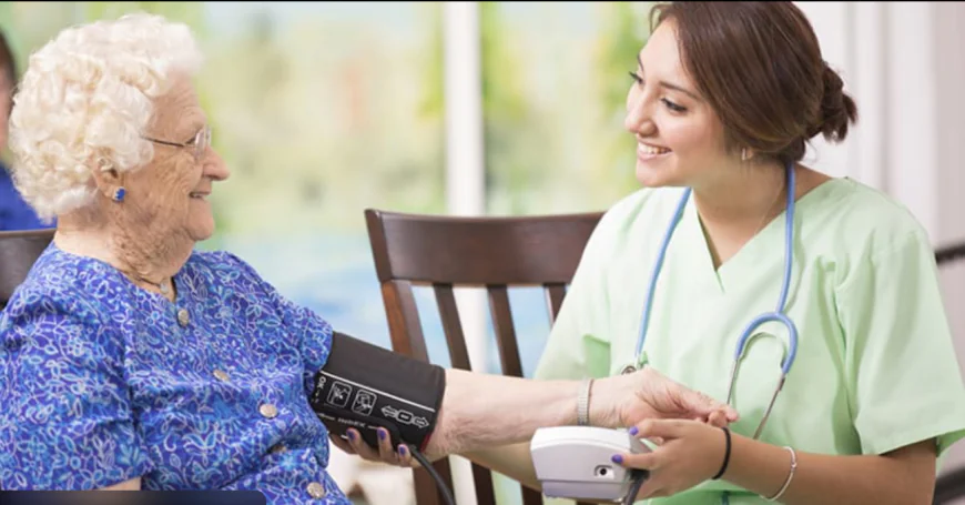 Discovering Nursing Home Alternatives in Wesley Chapel: A Comprehensive Guide
