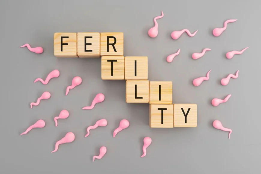 How Does Age Influence Fertility in Women and Men?