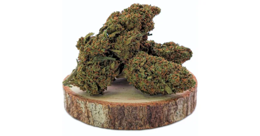 Haschisch Guide: Arten, Herstellung und Eigenschaften