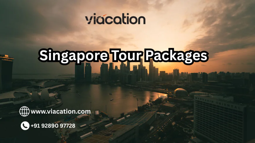 Can Singapore Packages Be Customized as Per Budget?