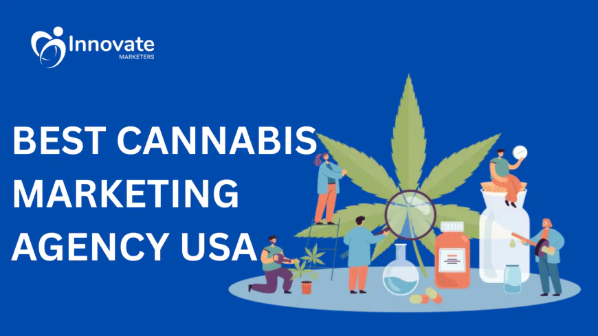 Scaling Cannabis Businesses in the USA With Data-Driven Marketing Agencies