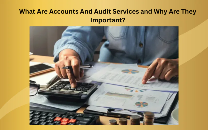 What Are Accounts And Audit Services and Why Are They Important?