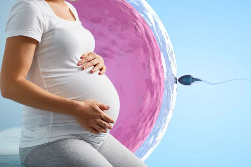 Enhancing Pregnancy Success Rates: Insights from Dr. Archana Dhawan Bajaj