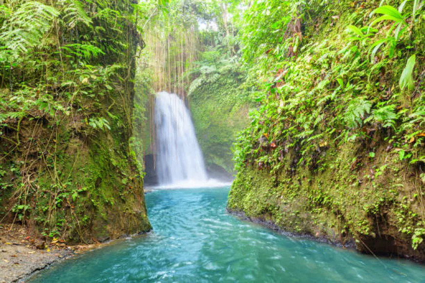 Exploring the Natural Beauty of Saint Lucia: Waterfalls and Rainforests