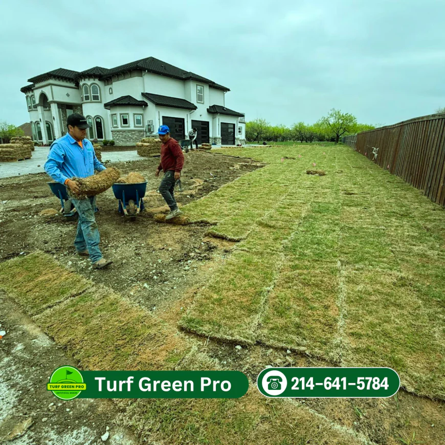 Sod Installation And Landscape Installation Or Landscaping Services In Lewisville