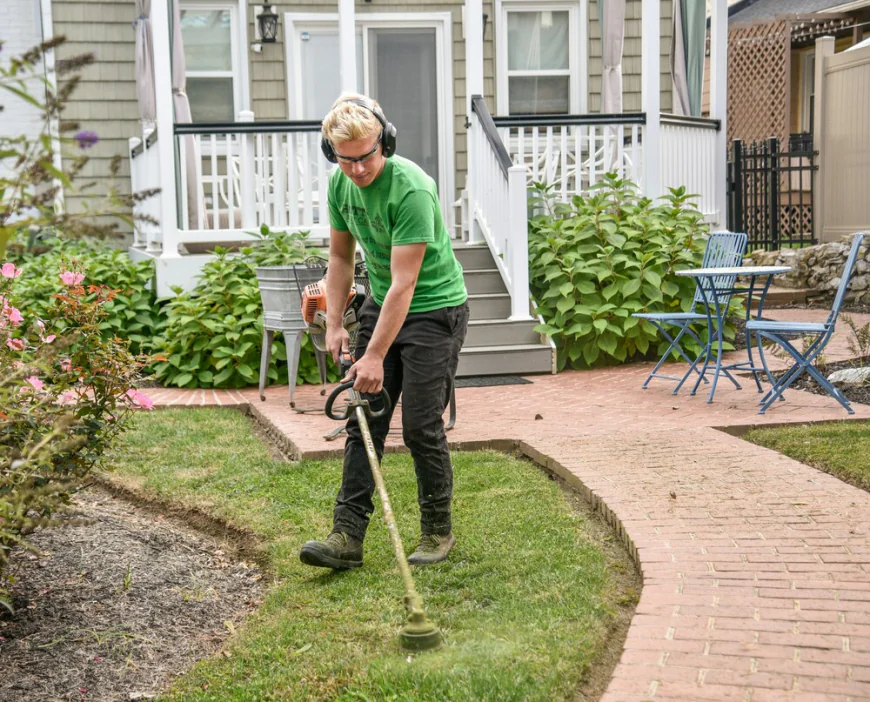 How Weed Care Helps Maintain a Healthy Lawn Year-Round