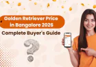 Golden Retriever Price in Bangalore 2026: Complete Buyer's Guide