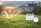 How Often Should You Water Your Lawn? A Complete Guide