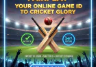 The Digital Frontier: Why Your Online Game ID is the Key to Modern Sports Entertainment