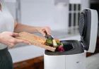 Electric Composter Faqs: Answers To The Most Common Challenges For First-Time Users