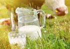 Dairy Industry In Karnataka Outlook, Growth & Demand Forecast 2025-2033