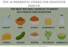 Top 15 Probiotic Foods for Digestive Health