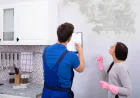 Top Signs You Need a Mold Inspection Immediately